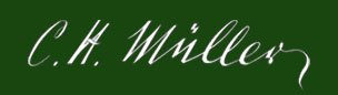 logo main